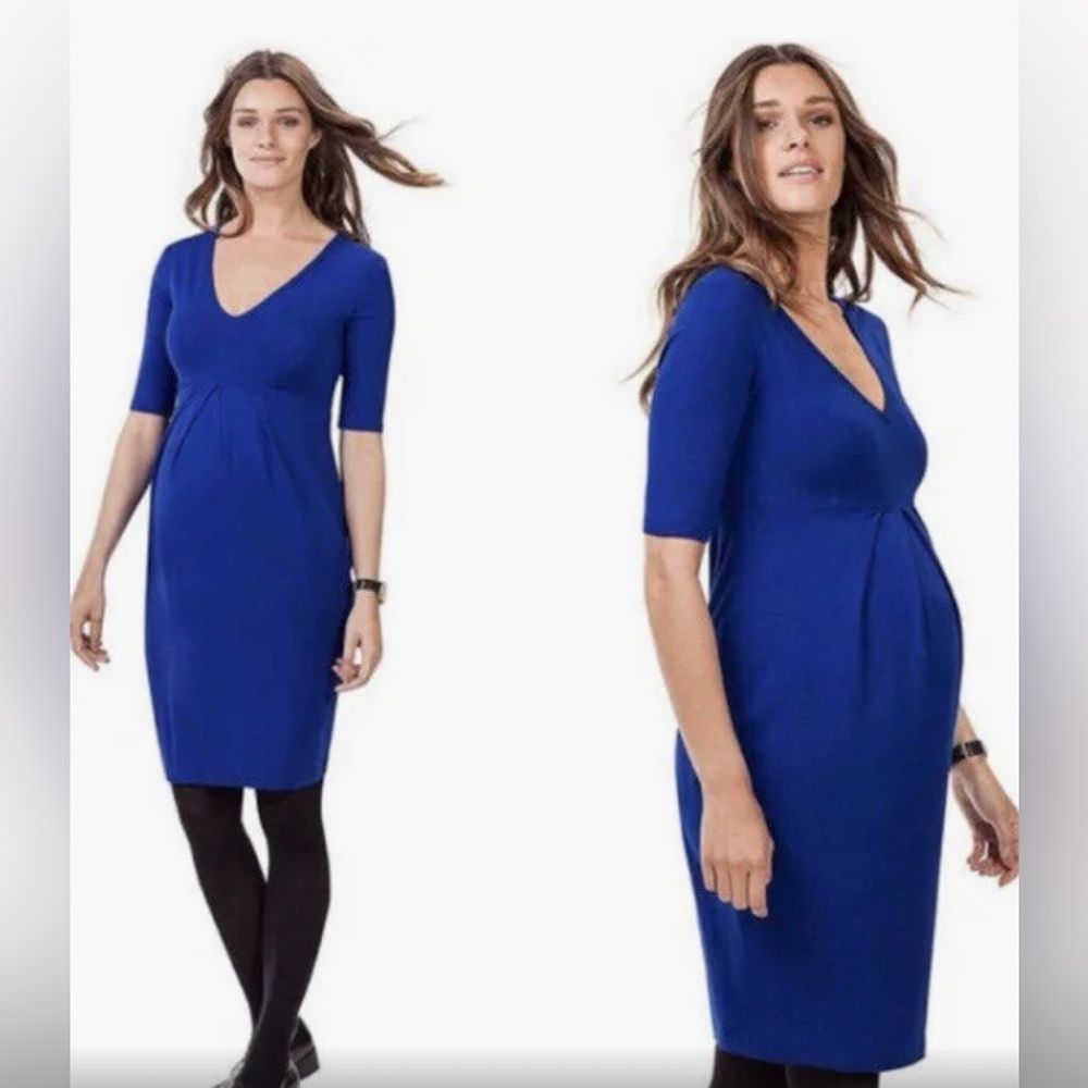 Isabella Oliver Roslyn Pleated V-neck Maternity Dress Parisian Royal